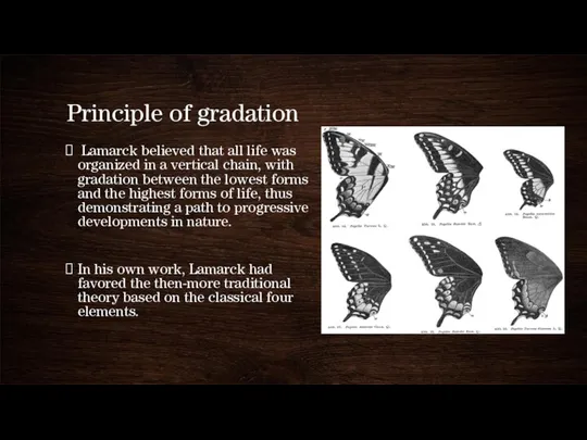 Principle of gradation Lamarck believed that all life was organized in a