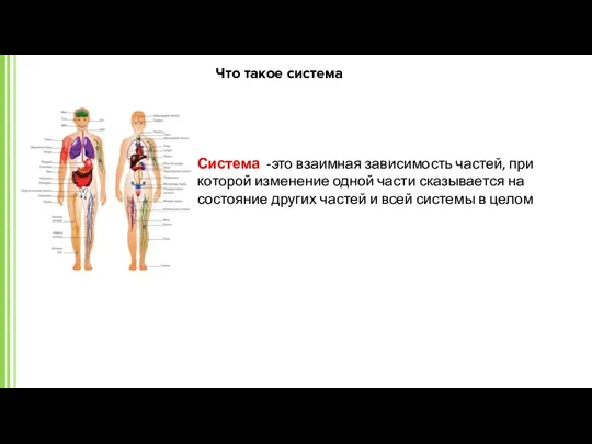 Что такое система Система -это взаимная зависимость частей, при которой изменение одной