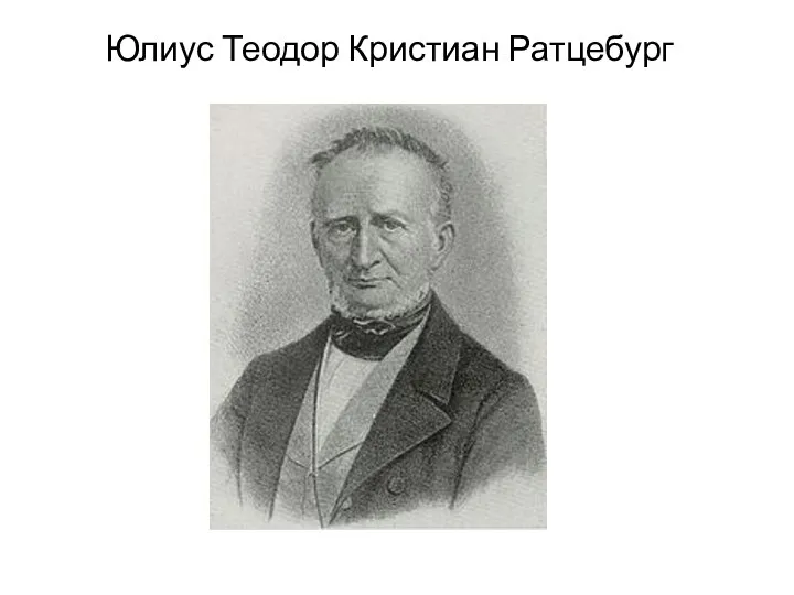 Юлиус Теодор Кристиан Ратцебург