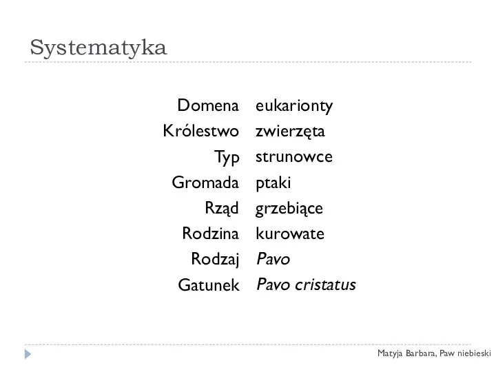 Systematyka Domena Królestwo Typ Gromada Rząd Rodzina Rodzaj Gatunek eukarionty zwierzęta strunowce