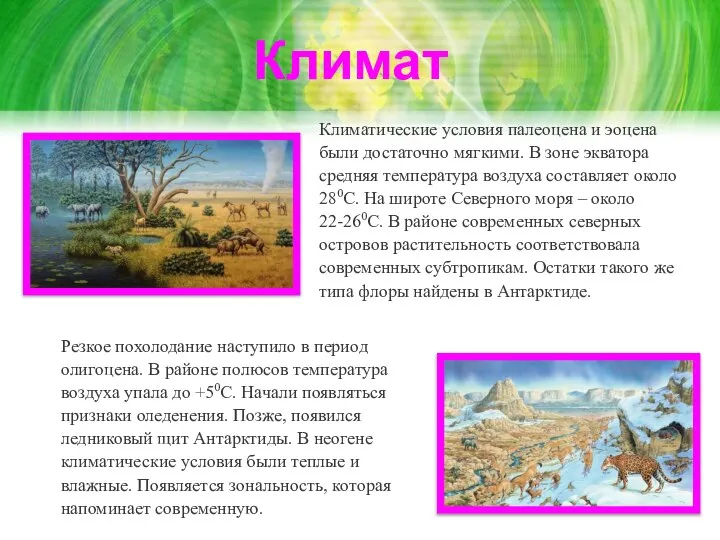 Резкое похолодание наступило в период олигоцена. В районе полюсов температура воздуха упала