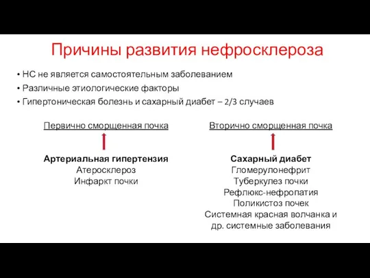 Причины развития нефросклероза НС не является самостоятельным заболеванием Различные этиологические факторы Гипертоническая