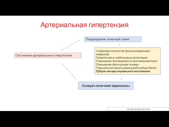 Артериальная гипертензия Повреждение почечной ткани Системная артериальная гипертензия Снижение количества функционирующих нефронов