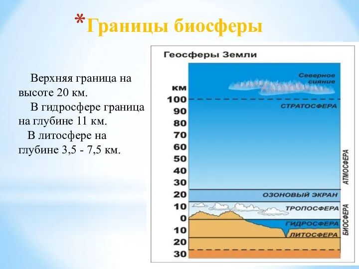 Границы биосферы Верхняя граница на высоте 20 км. В гидросфере граница на