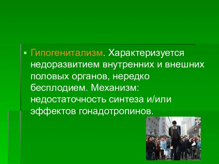 Гипогенитализм. Характеризуется недоразвитием внутренних и внешних половых органов, нередко бесплодием. Механизм: недостаточность синтеза и/или эффектов гонадотропинов.