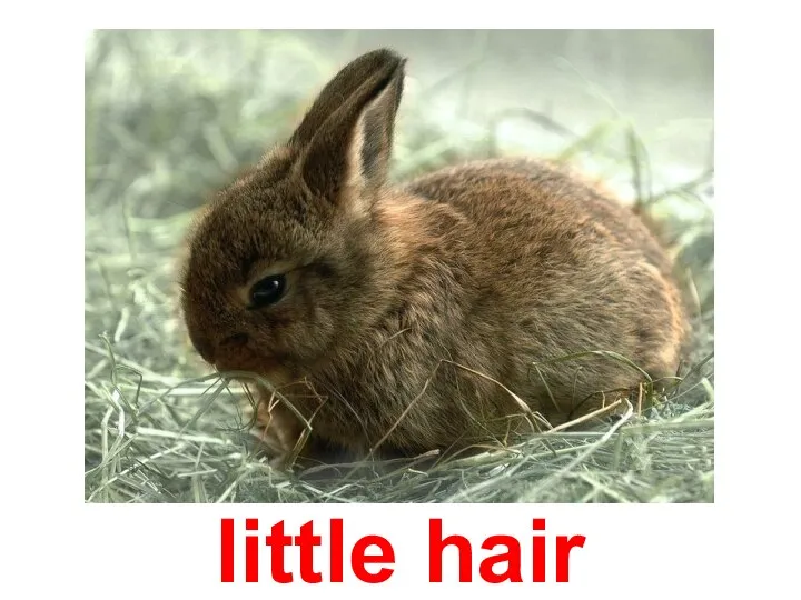 little hair