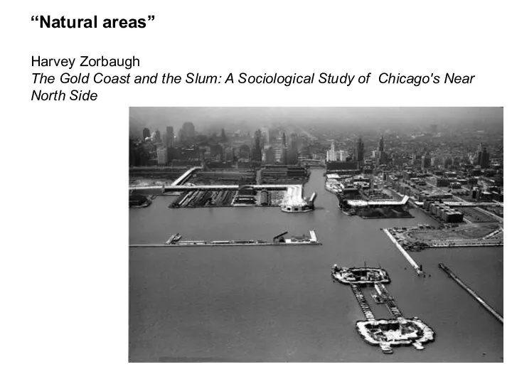 “Natural areas” Harvey Zorbaugh The Gold Coast and the Slum: A Sociological