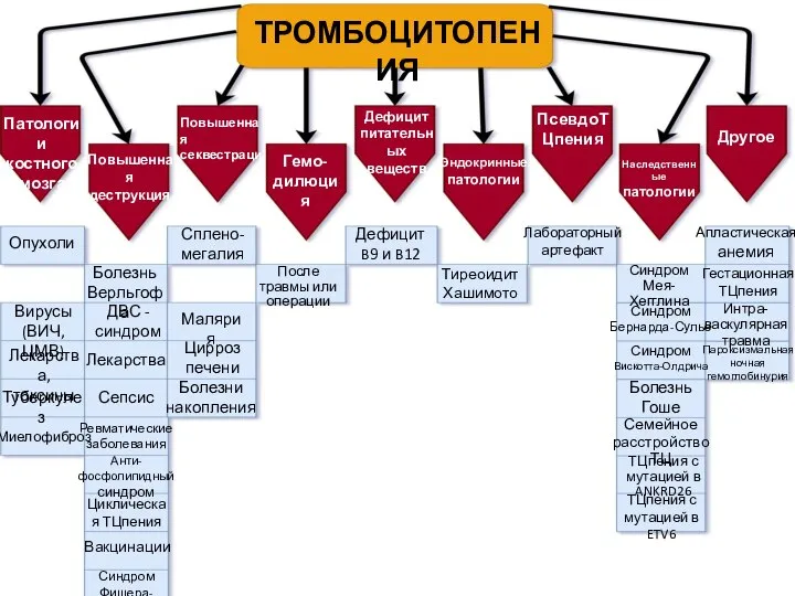 ТРОМБОЦИТОПЕНИЯ Патологии костного мозга Повышенная деструкция Повышенная секвестрация Гемо-дилюция Дефицит питательных веществ