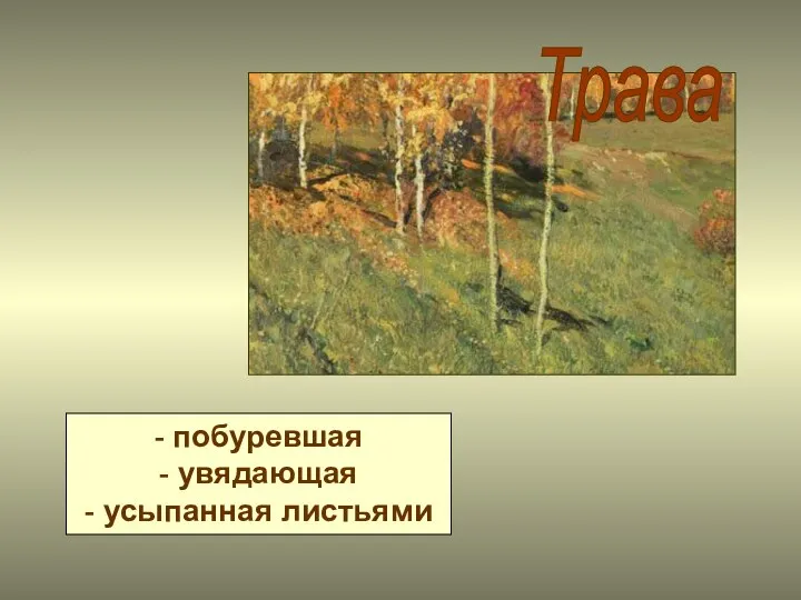 Трава - побуревшая - увядающая - усыпанная листьями