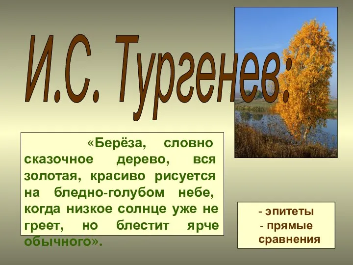 «Берёза, словно сказочное дерево, вся золотая, красиво рисуется на бледно-голубом небе, когда