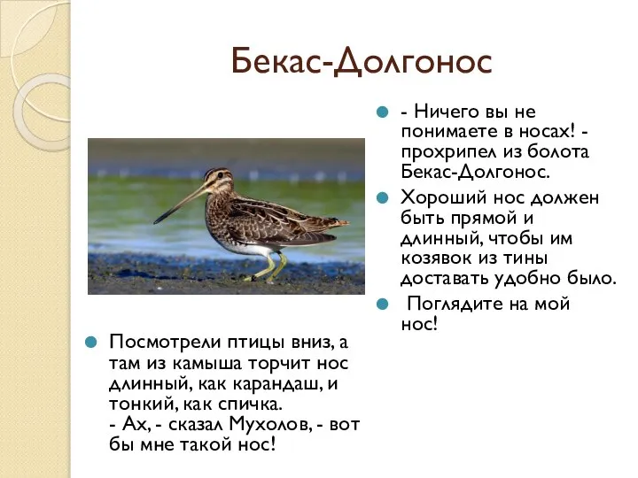 Бекас-Долгонос - Ничего вы не понимаете в носах! - прохрипел из болота