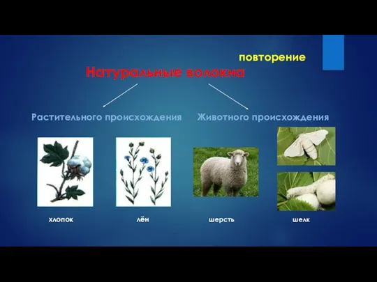 повторение Натуральные волокна Растительного происхождения Животного происхождения хлопок лён шерсть шелк