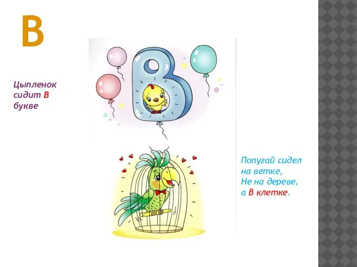 В Цыпленок сидит В букве Попугай сидел на ветке, Не на дереве, а В клетке.
