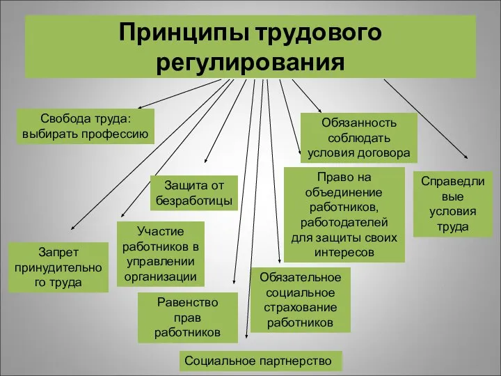 Принципы трудового регулирования Свобода труда: выбирать профессию Запрет принудительного труда Участие работников