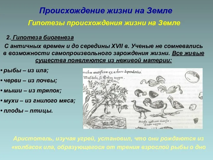 Происхождение жизни на Земле Гипотезы происхождения жизни на Земле 2. Гипотеза биогенеза