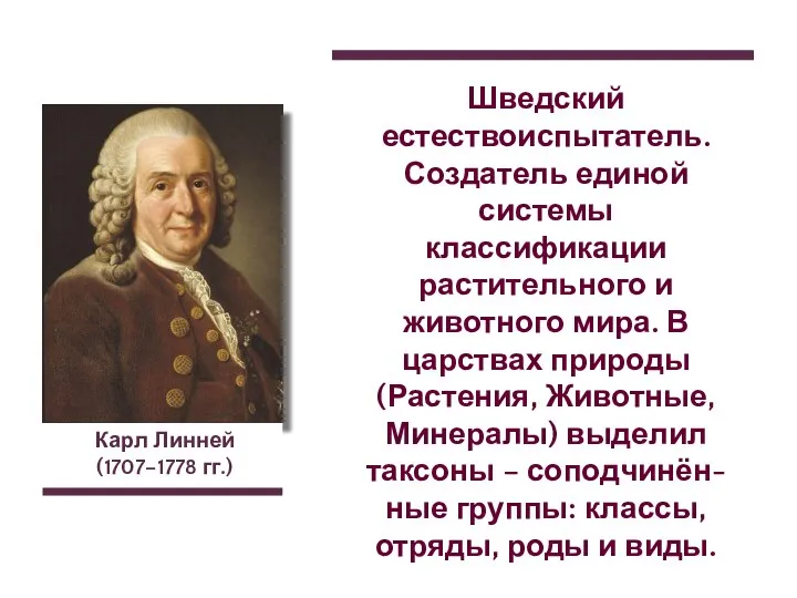 Карл Линней (1707–1778 гг.) Шведский естествоиспытатель. Создатель единой системы классификации растительного и