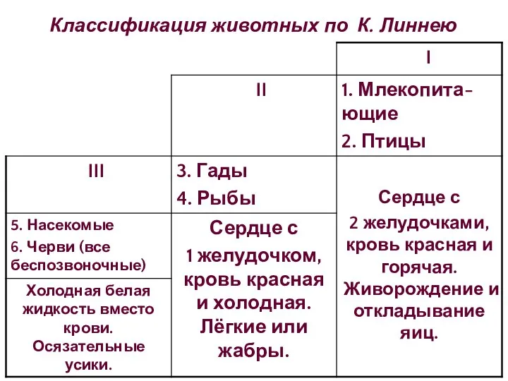 Классификация животных по К. Линнею