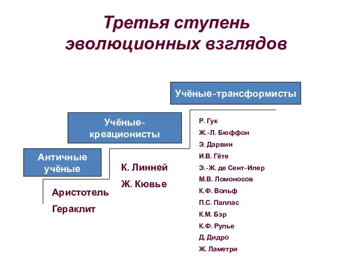 Третья ступень эволюционных взглядов Античные учёные Учёные-креационисты Учёные-трансформисты Аристотель Гераклит К. Линней