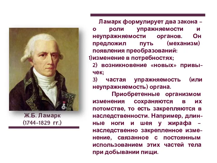 Ж.Б. Ламарк (1744-1829 гг.) Ламарк формулирует два закона – о роли упражняемости
