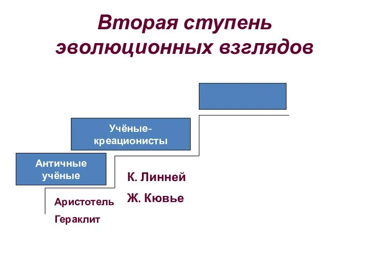 Вторая ступень эволюционных взглядов Античные учёные Учёные-креационисты Аристотель Гераклит К. Линней Ж. Кювье