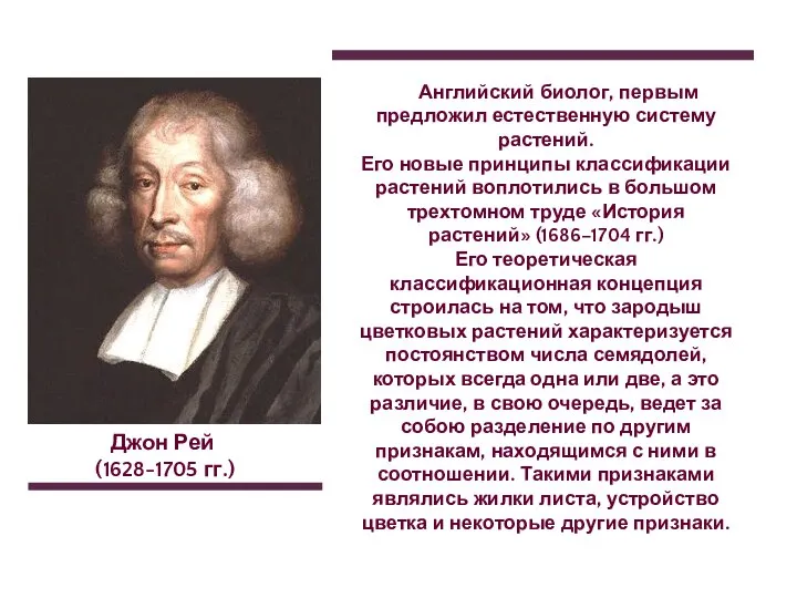 Джон Рей (1628-1705 гг.) Английский биолог, первым предложил естественную систему растений. Его