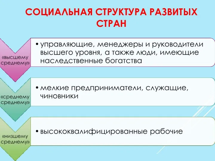 СОЦИАЛЬНАЯ СТРУКТУРА РАЗВИТЫХ СТРАН