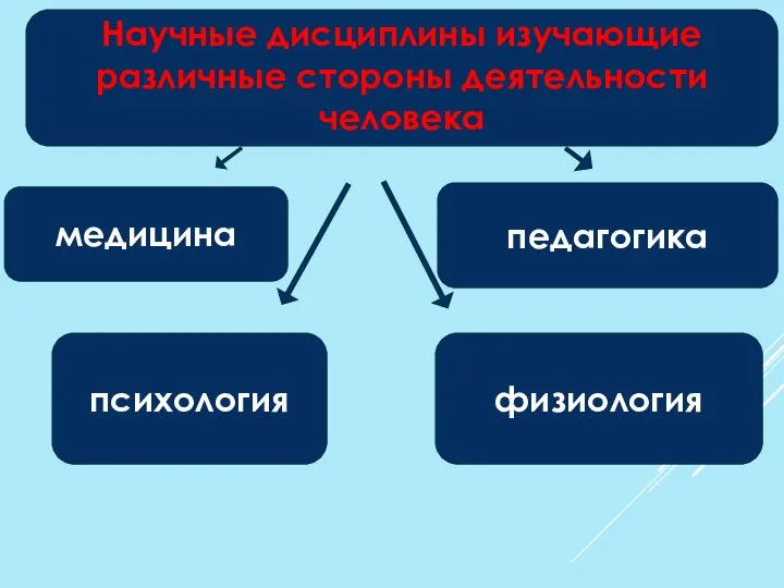 педагогика психология Научные дисциплины изучающие различные стороны деятельности человека медицина физиология