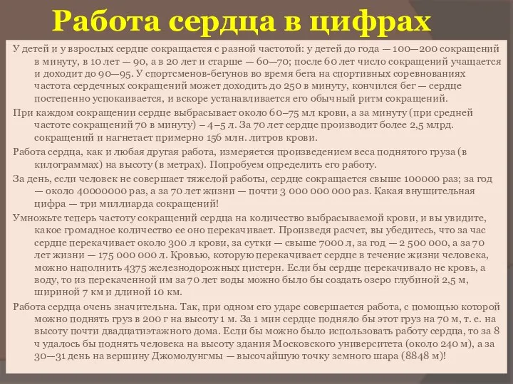 Работа сердца в цифрах У детей и у взрослых сердце сокращается с