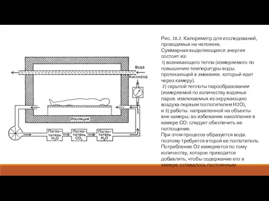 Рис. 18.2. Калориметр для исследований, проводимых на человеке. Суммарная выделяющаяся энергия состоит