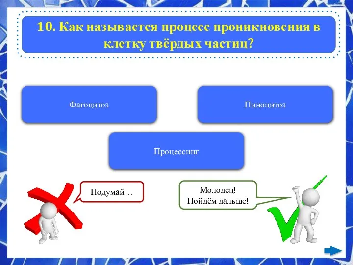 10. Как называется процесс проникновения в клетку твёрдых частиц? Фагоцитоз Пиноцитоз Процессинг