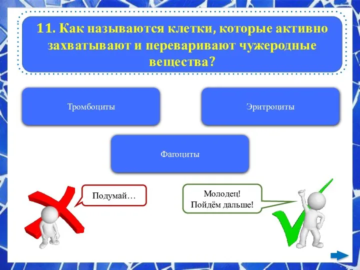 11. Как называются клетки, которые активно захватывают и переваривают чужеродные вещества? Тромбоциты Эритроциты Фагоциты