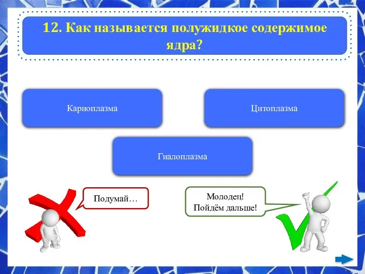 12. Как называется полужидкое содержимое ядра? Кариоплазма Цитоплазма Гиалоплазма