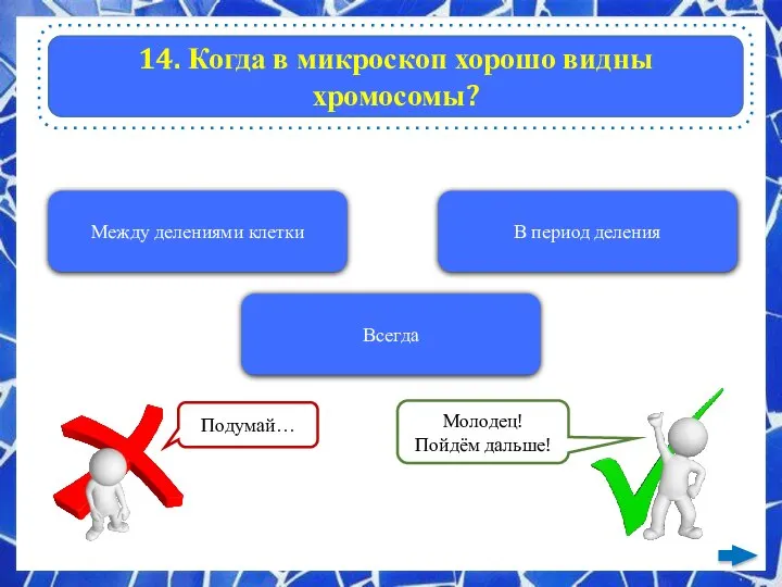 14. Когда в микроскоп хорошо видны хромосомы? Между делениями клетки В период деления Всегда