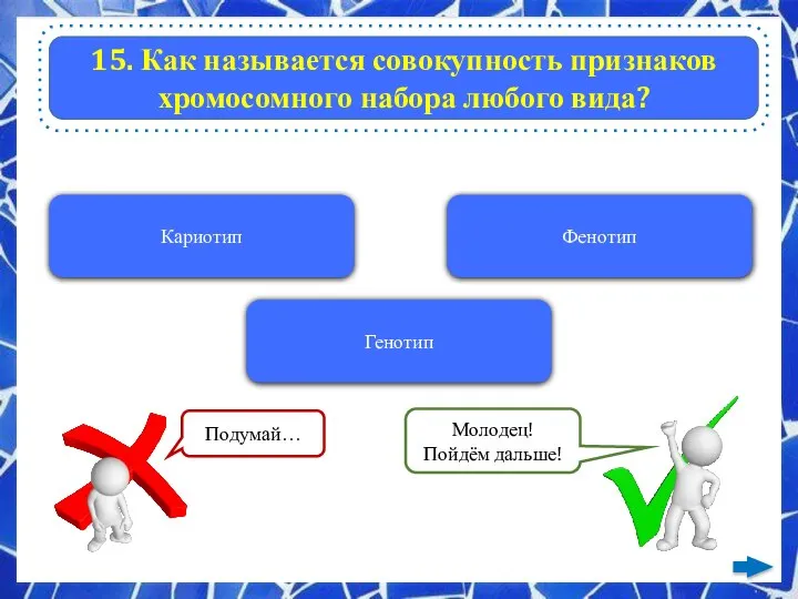 15. Как называется совокупность признаков хромосомного набора любого вида? Кариотип Фенотип Генотип