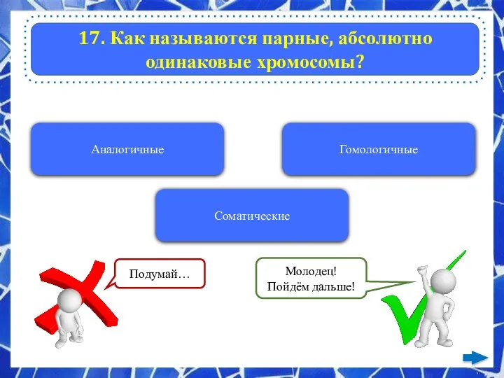 17. Как называются парные, абсолютно одинаковые хромосомы? Аналогичные Гомологичные Соматические