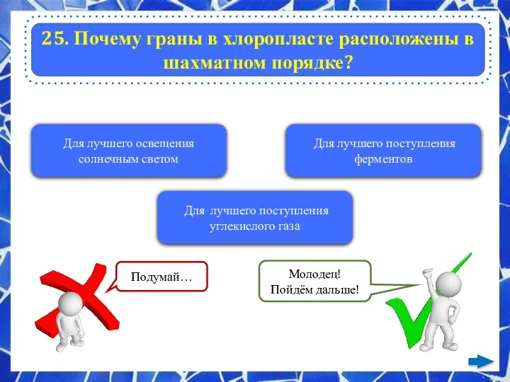 25. Почему граны в хлоропласте расположены в шахматном порядке? Для лучшего освещения