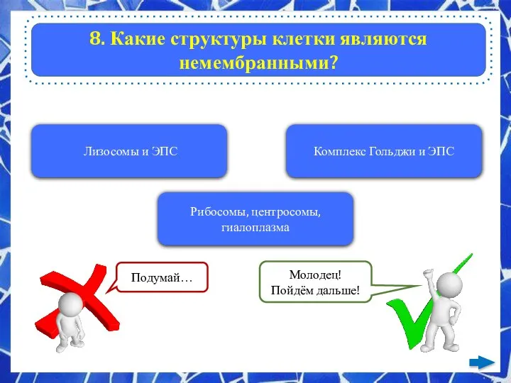 8. Какие структуры клетки являются немембранными? Лизосомы и ЭПС Комплекс Гольджи и ЭПС Рибосомы, центросомы, гиалоплазма