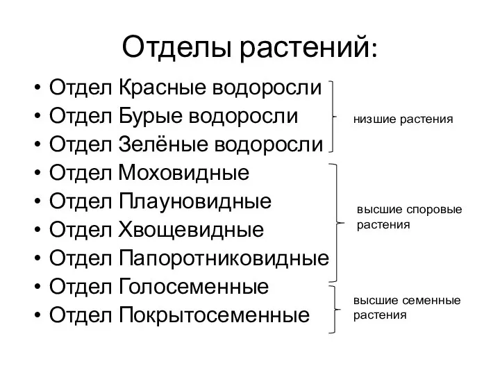 Отделы растений: Отдел Красные водоросли Отдел Бурые водоросли Отдел Зелёные водоросли Отдел