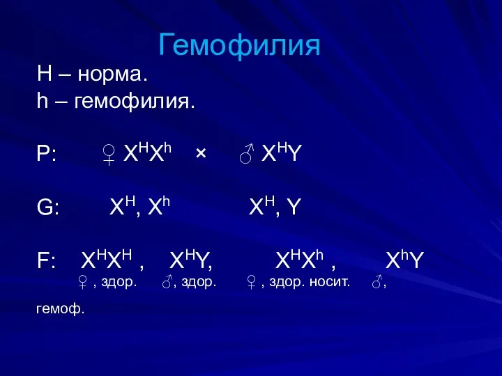 Гемофилия H – норма. h – гемофилия. Р: ♀ ХНХh × ♂