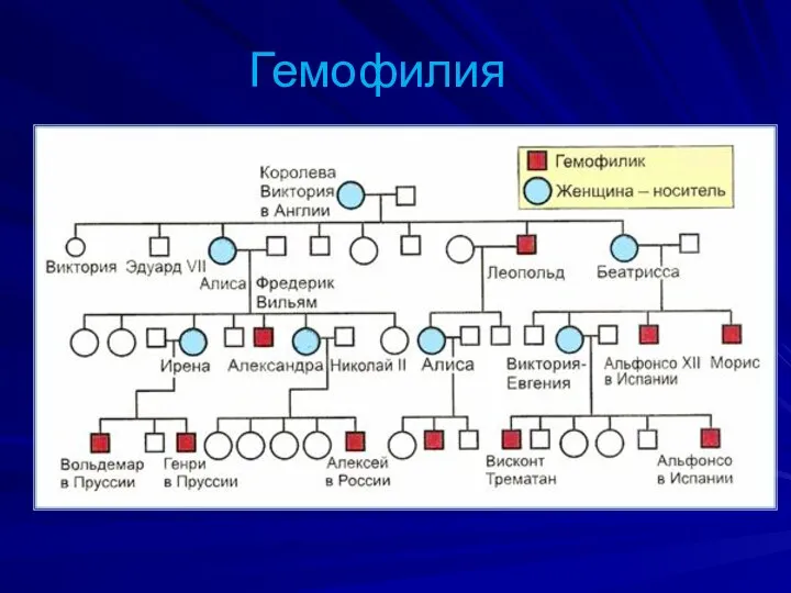 Гемофилия