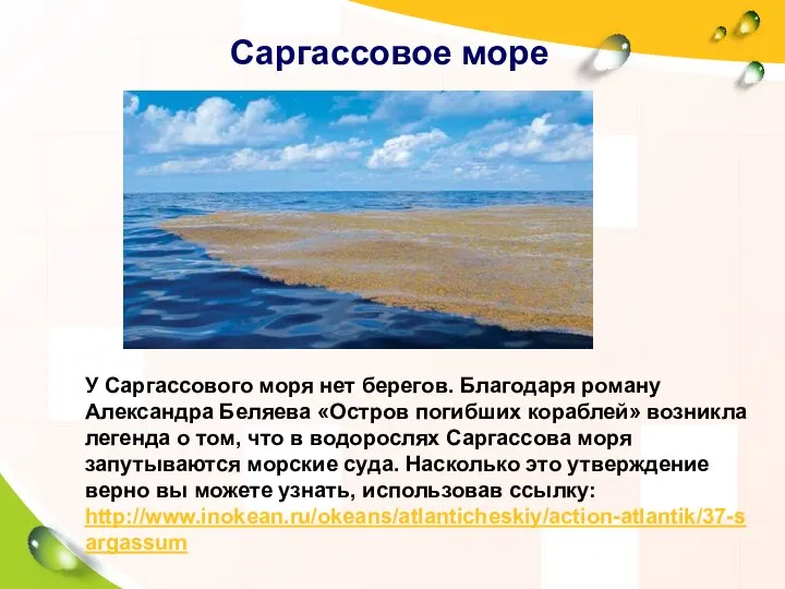 Саргассовое море У Саргассового моря нет берегов. Благодаря роману Александра Беляева «Остров