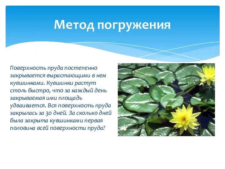 Поверхность пруда постепенно закрывается вырастающими в нем кувшинками. Кувшинки растут столь быстро,