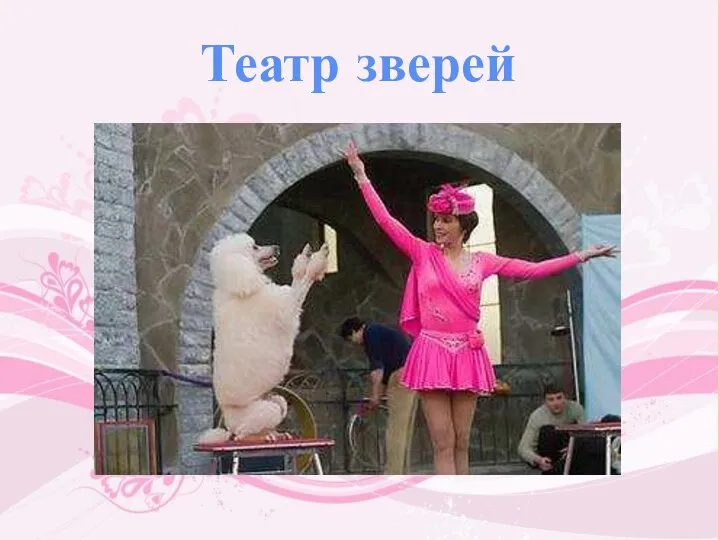 Театр зверей