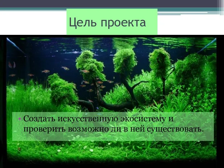 Цель проекта Создать искусственную экосистему и проверить возможно ли в ней существовать.