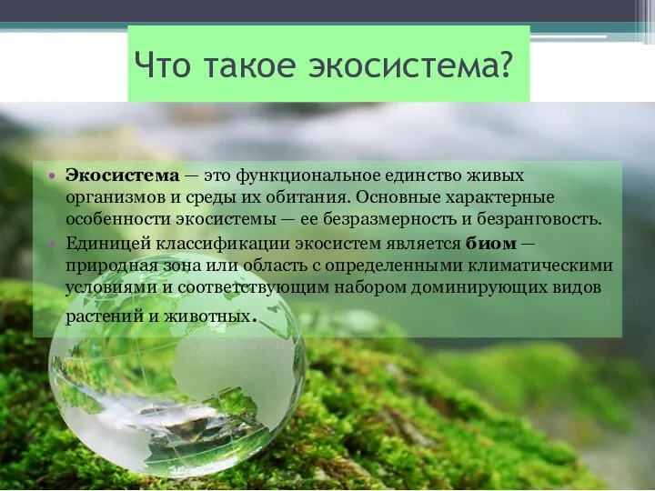 Что такое экосистема? Экосистема — это функциональное единство живых организмов и среды