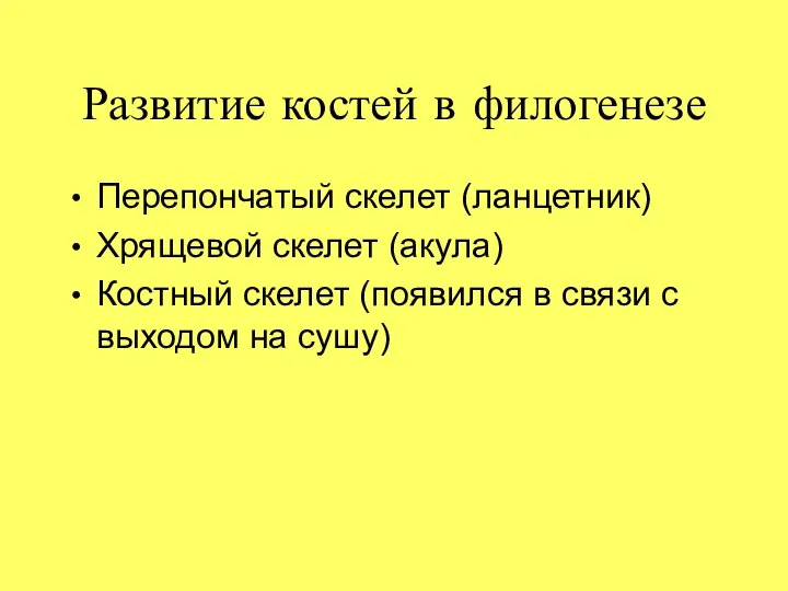 Развитие костей в филогенезе Перепончатый скелет (ланцетник) Хрящевой скелет (акула) Костный скелет