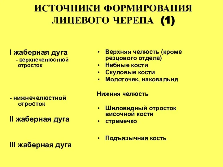 ИСТОЧНИКИ ФОРМИРОВАНИЯ ЛИЦЕВОГО ЧЕРЕПА (1) I жаберная дуга - верхнечелюстной отросток -