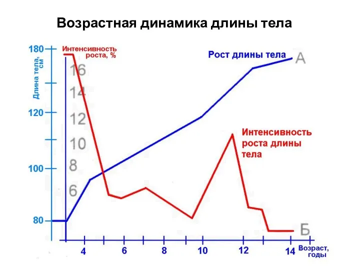 Возрастная динамика длины тела