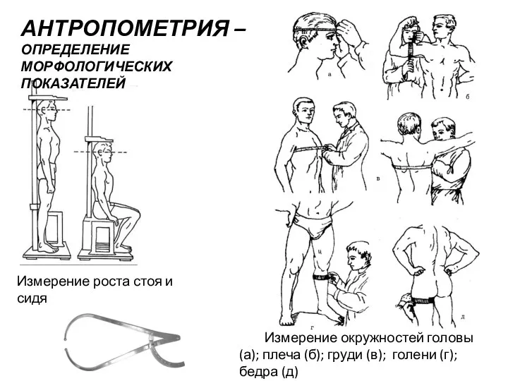 Измерение окружностей головы (а); плеча (б); груди (в); голени (г); бедра (д)