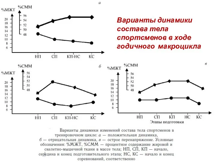 Варианты динамики состава тела спортсменов в ходе годичного макроцикла